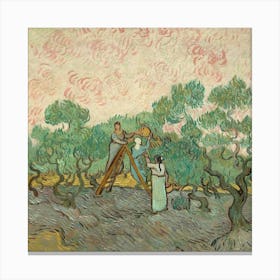 Van Gogh 94 Canvas Print