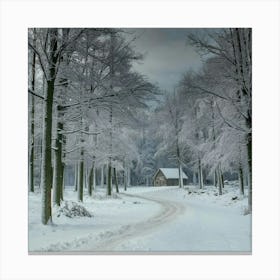 Winter Road Canvas Print