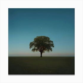 Lone Tree Canvas Print