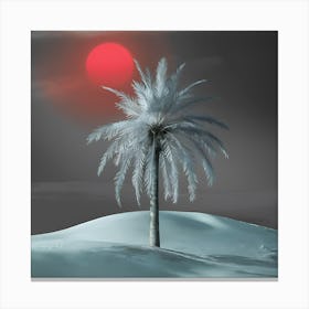 Palm Tree In The Snow Canvas Print