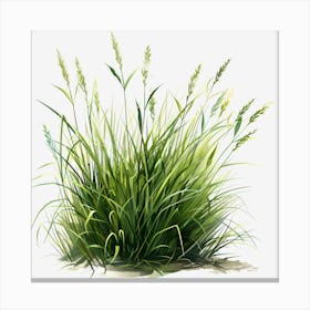 Watercolor-Spring-Grass-Clipart.23 Canvas Print