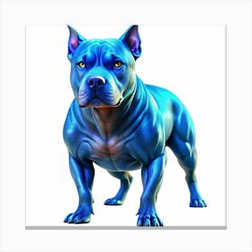 Blue Muscular Pitbull Dog Canvas Print