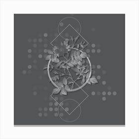 Vintage Malmedy Rose Botanical with Line Motif and Dot Pattern in Ghost Gray n.0003 Canvas Print