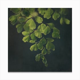 Dark Foliage 3 Canvas Print