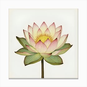 Lotus Flower 79 Canvas Print