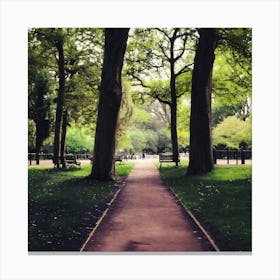 Into The Park Canvas Print