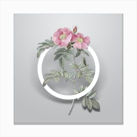 Vintage Shining Rosa Lucida Minimalist Flower Geometric Circle on Soft Gray Canvas Print