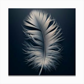 Feather Canvas Print