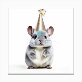 Chinchilla In Party Hat Canvas Print