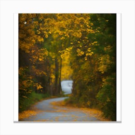 Autumn Road 1 Canvas Print