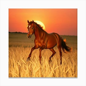 Horse In The Field At Sunset 8 Canvas Print