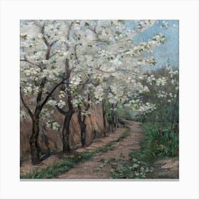 Blossoming Trees Canvas Print