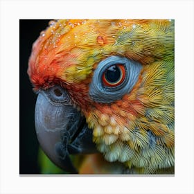 Colorful Parrot 5 Canvas Print