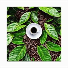 Coffee Beans On Green Leaves Canvas Print