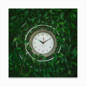 Time In Nature Canvas Print