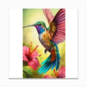 Hummingbird 1 Canvas Print