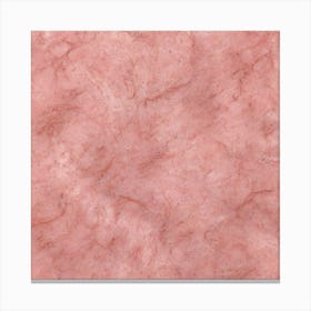 Pink Granite 1 Canvas Print