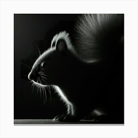 Black And White Squirrel 1 Canvas Print