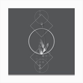 Vintage Victory Onion Botanical with Line Motif and Dot Pattern in Ghost Gray n.0049 Canvas Print
