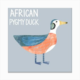 African Pygmy Duck Leinwandbild