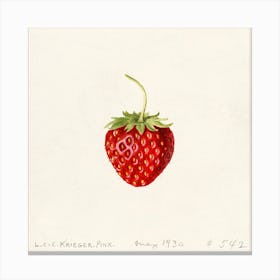 Strawberry, Louis Charles Christopher Krieger Canvas Print