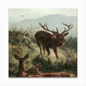 Stag And Deer Canvas Print