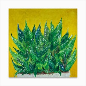 Succulent plants - Reggaepainting Acrylic Painting Canvas Print