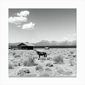 Horses In The Desert Canvas Print