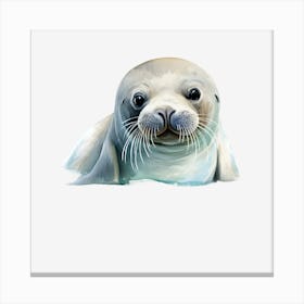 Cute Seal Canvas Print