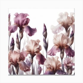 Mauve Flowers of Irise 2 Canvas Print