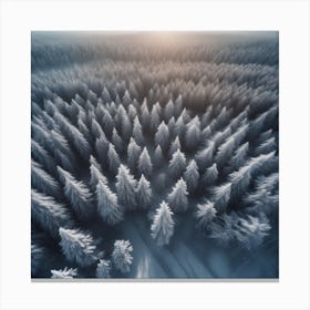 Aerial View Of Snowy Forest 8 Canvas Print