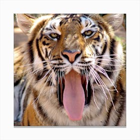 Tiger Face II Canvas Print