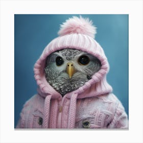 Owl In Pink Sweater Canvas Print