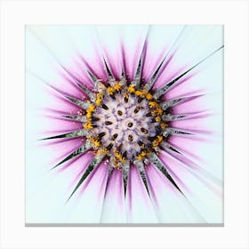 White Pink Flower // Nature Photography Canvas Print