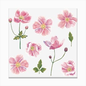 Pink Japanese Anemones Canvas Print