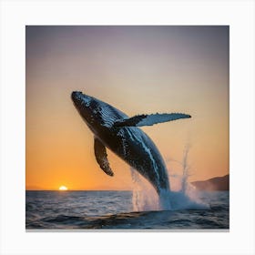 Humpback Whale Leaping 4 Canvas Print