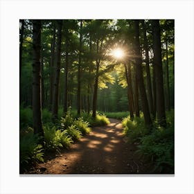 Sunrise In The Forest 18 Canvas Print