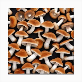 Mushrooms On A Black Background 5 Canvas Print