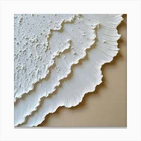 'Seashells' 3 Canvas Print