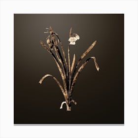 Gold Botanical Summer Snowflake on Chocolate Brown n.4663 Canvas Print