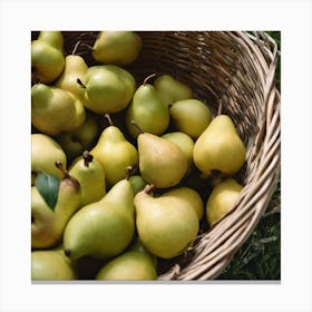 Pears In A Basket 3 Canvas Print