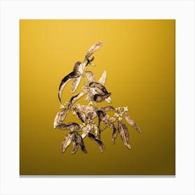 Gold Botanical Russian Olive on Mango Yellow n.0527 Canvas Print