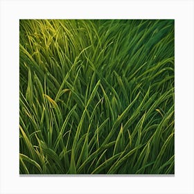 Green Grass Background 28 Canvas Print