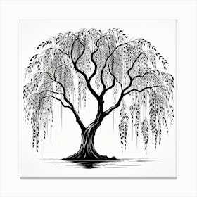 Willow Tree Canvas Print