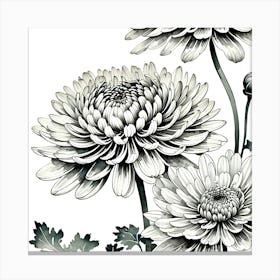 Chrysanthemums 5 Canvas Print