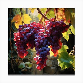 Grapes On The Vine Canvas Print
