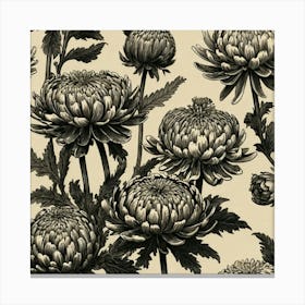 Chrysanthemums 6 Canvas Print