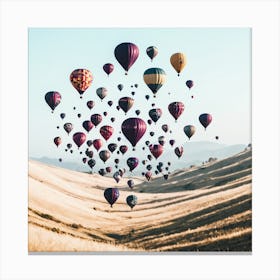 Hot Air Balloons 1 Canvas Print