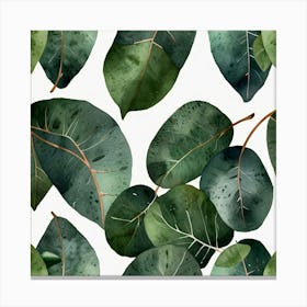 Default Watercolor Eucalyptus Leaves Art 2 Canvas Print