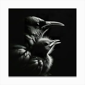 Crow And Chick Canvas Print